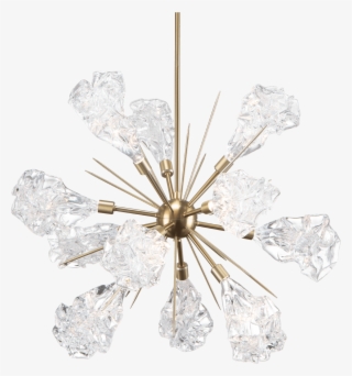 Still Life Photography #9467854