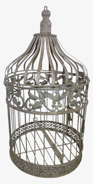 Birdcage - Cage #9469190