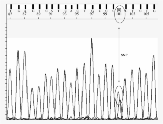 The Partial Est Sequence Of The Cesaa6 - Calligraphy #9469740