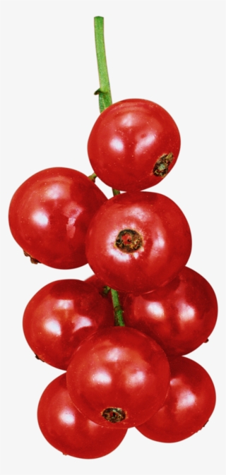 Gifs De Frutas Png #9469938