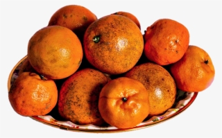 Fruit - Rangpur #9470020