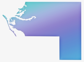 Manatee "abstract" Style - Snow #9471302