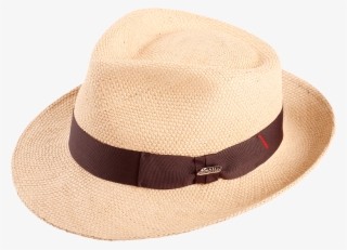Paja Brisa - Fedora #9471849