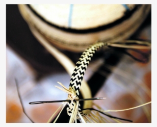 Expandir Imagen La Pintada Es La Afamada Cuna Del Sombrero - Extraccion De Tintes Naturales En Cocle #9472091