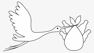 Bird - Illustration #9475227