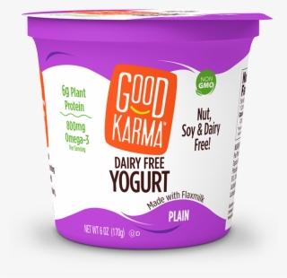 Our Crazy Delicious Plain Dairy Free Yogurt Made With - Box #9476731