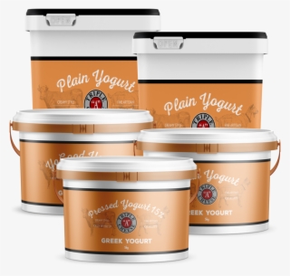 Plain Yogurt #9476808