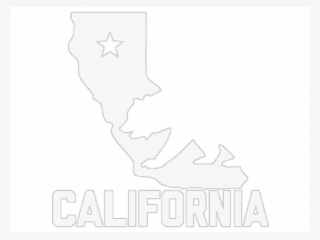 California Grizzly Bear #9478947