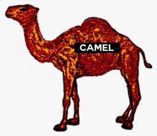 Logos With A Camel #9479006