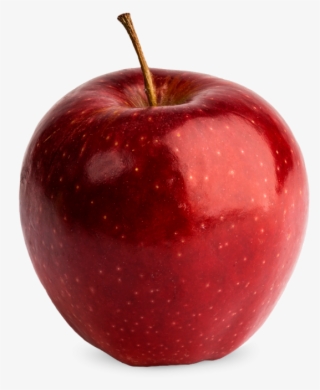 720 X 720 1 - Red Prince Apple #9479909 720 X 720 1 - Red Prince Apple #9479909