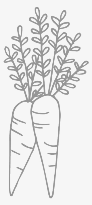 Carrots - Line Art #9480087 Carrots - Line Art #9480087
