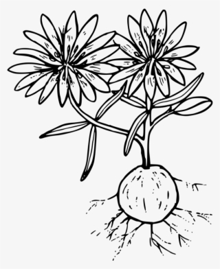 Drawing Butterfly Floral Design Line Art /m/02csf - Line Art #9484633