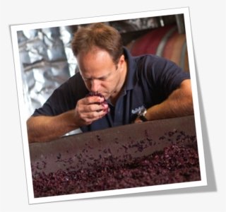 Manager Of Winemaking And Viticulture, Steve James - Picture Frame #9484715
