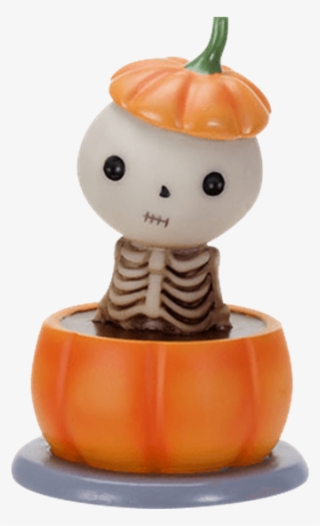 Price Match Policy - Pumpkin #9484873