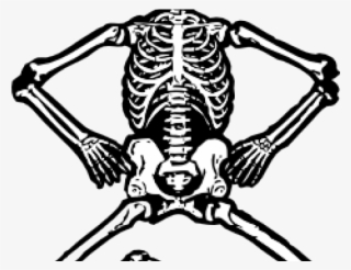 Free On Dumielauxepices Net Black And White - Skeletal System 5th Grade #9485707