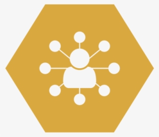 Networking - Circle #9486541