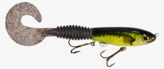 Hardhead - Largemouth Bass - Fish #9486629