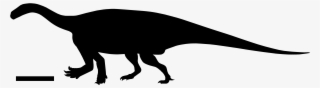 Antetonitrus Silhouette #9487658
