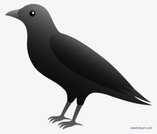 Crow Clip Art Crow Silhouette - Clipart Images Of Crow #9487701