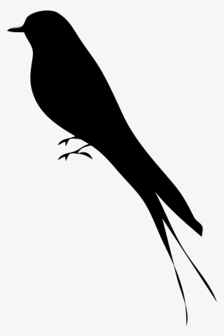 Image Freeuse Library Pin By Allarebeko On Pinterest - Mockingbird Silhouette #9487740 Image Freeuse Library Pin By Allarebeko On Pinterest - Mockingbird Silhouette #9487740