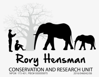 1000 X 786 2 - Indian Elephant #9487907