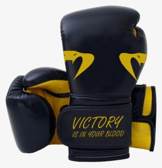 Amateur Boxing #9489509