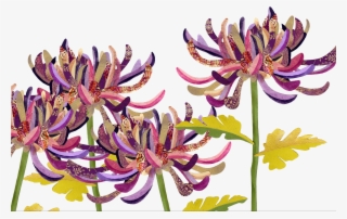 The Language Of Flowers - Chrysanths #9489661