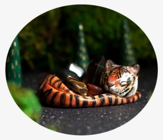 Tiger Crystal Vessel For The Root Chakra #9491038 Tiger Crystal Vessel For The Root Chakra #9491038