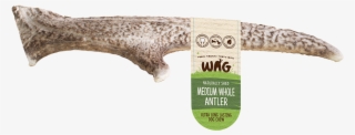 Deer Antler Medium Whole - Wag Deer Antler #9491375