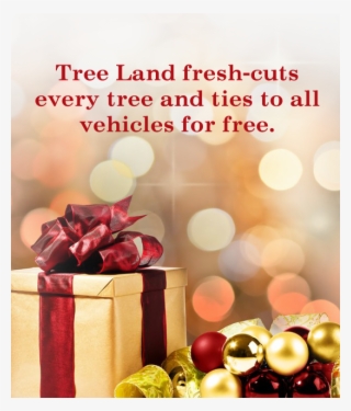 Monday Thru Sunday 9am - Newspaper Article #9491816