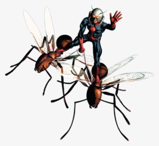 Antman Sticker - Ant Man On Ant Png #9493079