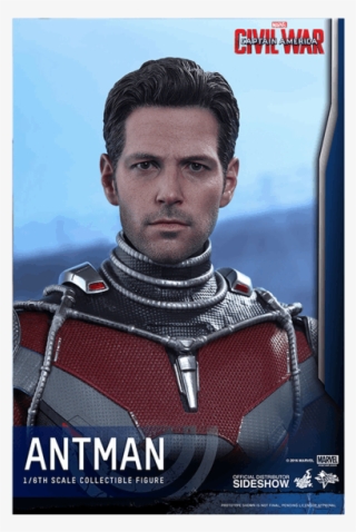 1 Of - Hot Toys Ant Man Civil Wars Head Sculpt #9493138