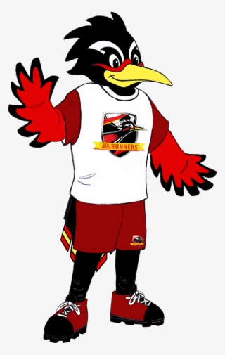 Meet "rio" The Roadrunner New Mexico's Most Lovable - Cartoon #9493776