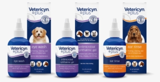 Eye & Ear Care - Companion Dog #9493818