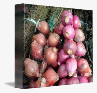 Svg Cebollas Onions By Marcos Granda - Red Onion #9494107