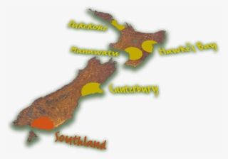 Harvest Fresh Growing Onions And Carrot Regions Of - Harvest In New Zealand #9494184