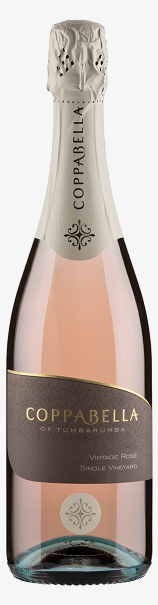 Pinot Meunier Sparkling Rose - Champagne #9495506