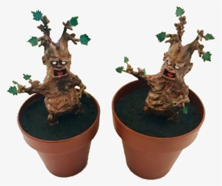 Mandrake Seedling - Flowerpot #9495651