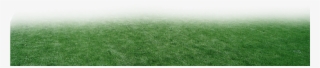 Lawn #9496245