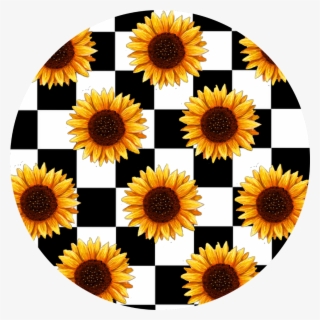 Flores Sticker - Aesthetic Sunflower Transparent Background - Free ...