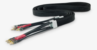 Tellurium Q Black Diamond Speaker Cable @ Audio Therapy - Networking Cables #9497693