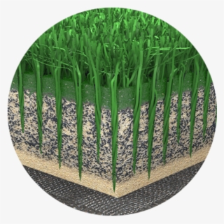 Low Temperature - Picket Fence #9497970