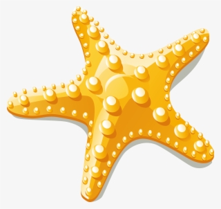 Starfish Euclidean Vector Clip Art - Starfish Vector Png #9498655