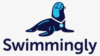 Software Company That Runs Summer Swim Meets, Today - Illustration #9498709