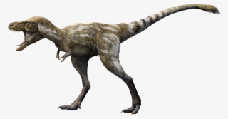 A 4 Year Old T - Velociraptor #9499265