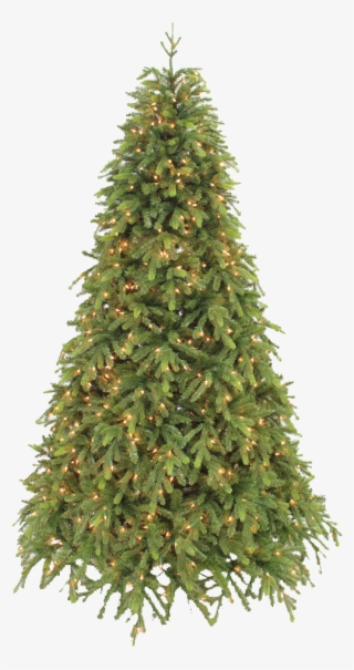 Hand-crafted Christmas Trees - 7ft Slim Christmas Trees #9499792
