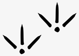 Bird Thin Footprints Vector - Bird Footprint Png #950109