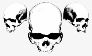 Three Skulls - Brainwashed; Compact Disc; Primary Artist - Brain Trauma #950600