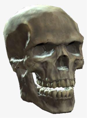 Skull - The Vault #950678