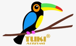 Clipart Royalty Free Download Tuki S Questions Al Sahawat - Toucan #950856